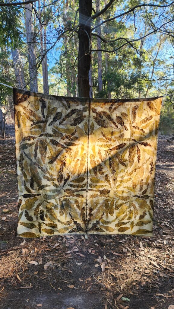 natural dyeing and printing - printed silk/wool with eucalyptus leaves