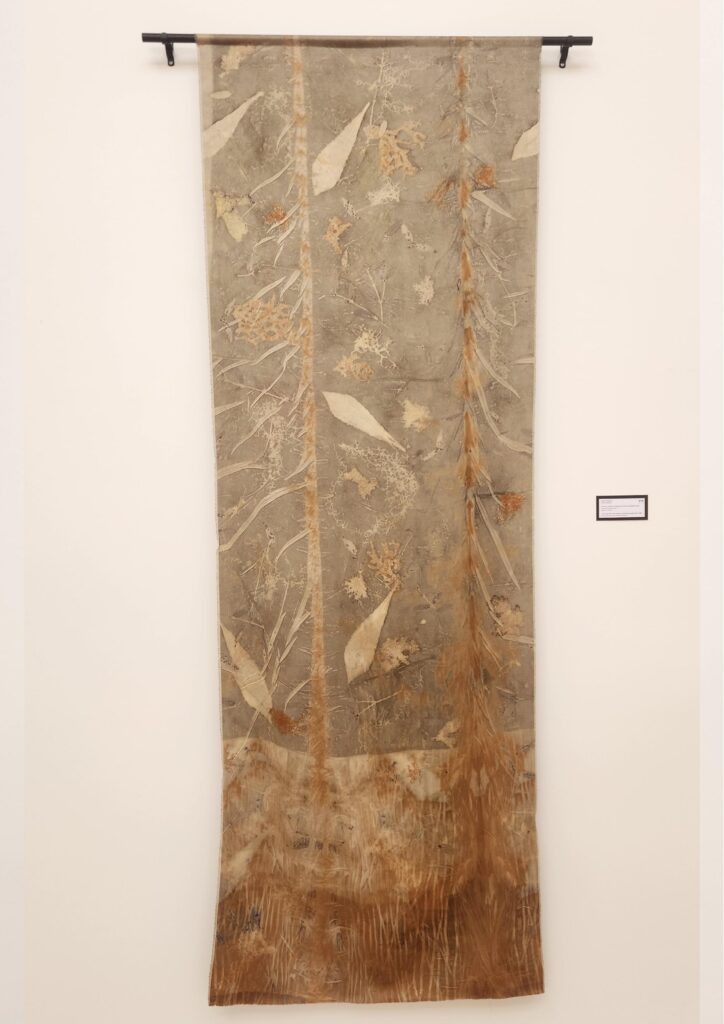 Exhibition sales of naturally printed textiles to showcase and advocate for the vulnerable places of lutruwita/Tasmania. 