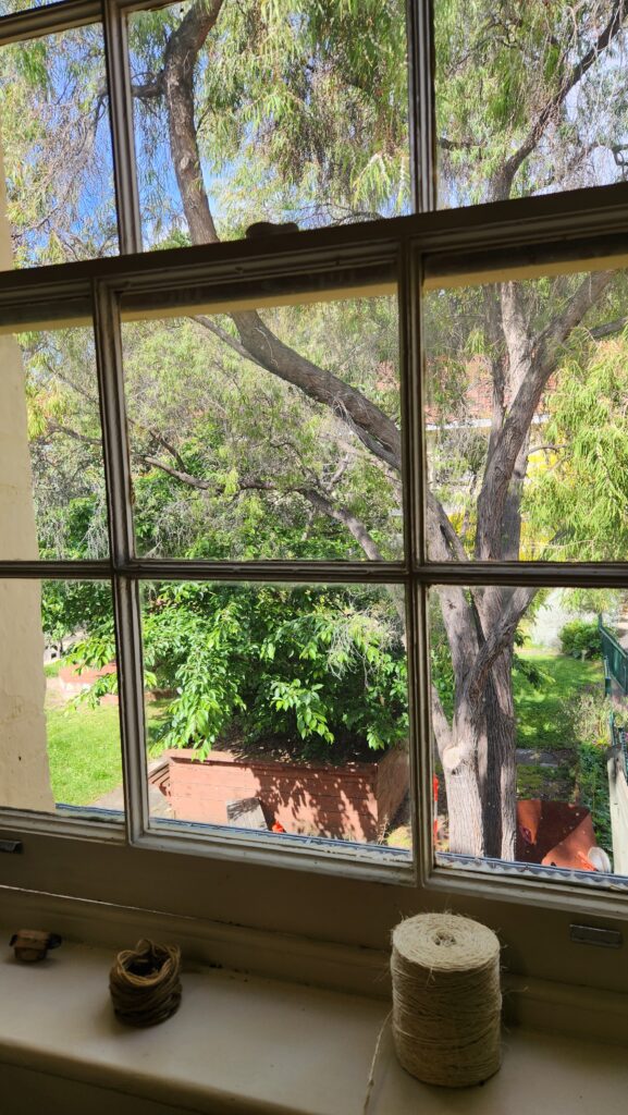 view from the studio window